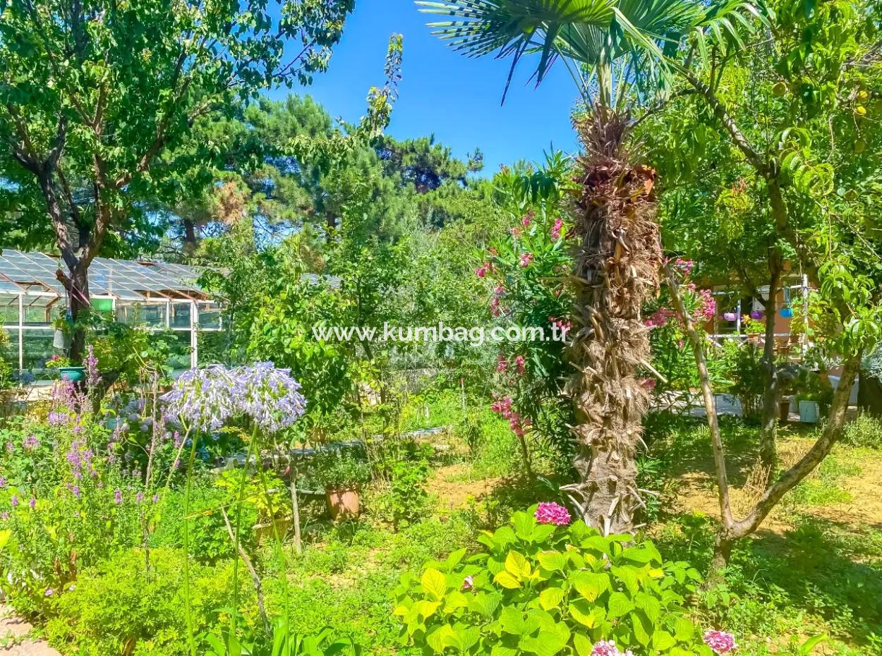 Kumbağ Merkezde Denize Ve Ana Caddeye Sifir Site İçerisinde Kiralik 3+1 Villa