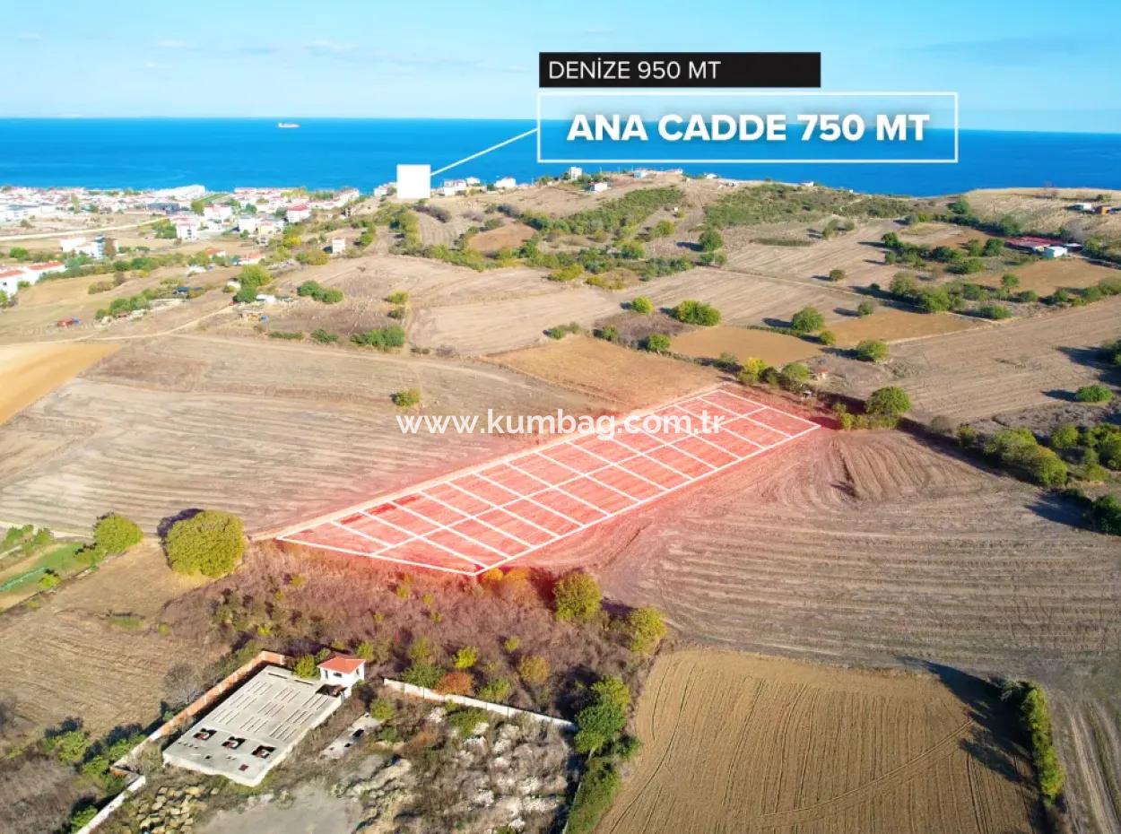 20 Mt Strassenfront 300 M2 Gemeinsam Genutzte Parzellen Zum Verkauf In Kumbağ