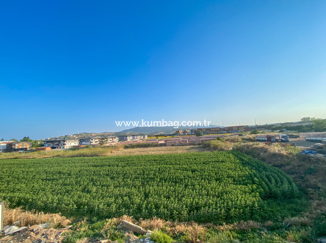 Neue Strasse Mit Pool 2 1 Wohnungen Zum Verkauf In Kumbagh