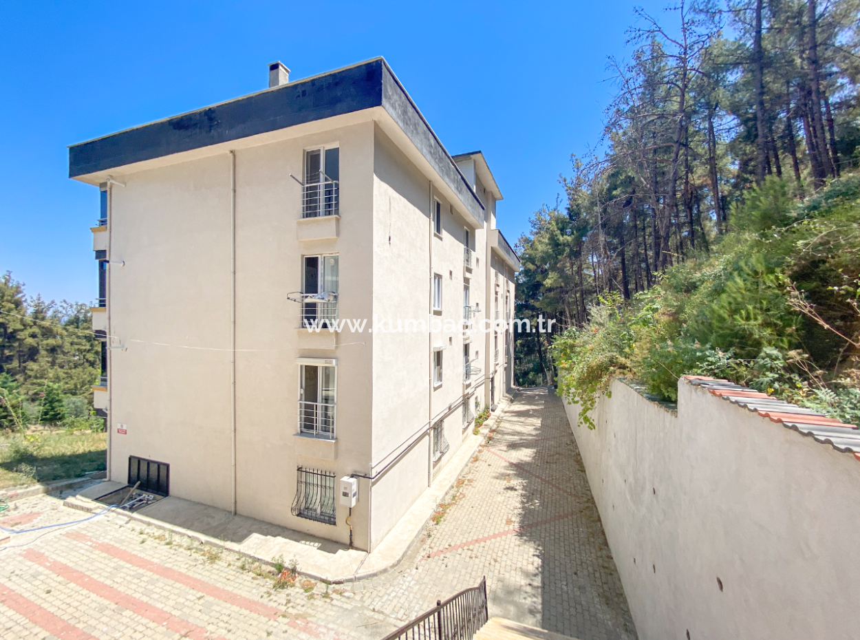 Möbliert 2 1 Wohnung Zum Verkauf Mit Meerblick Pool In Kumbag