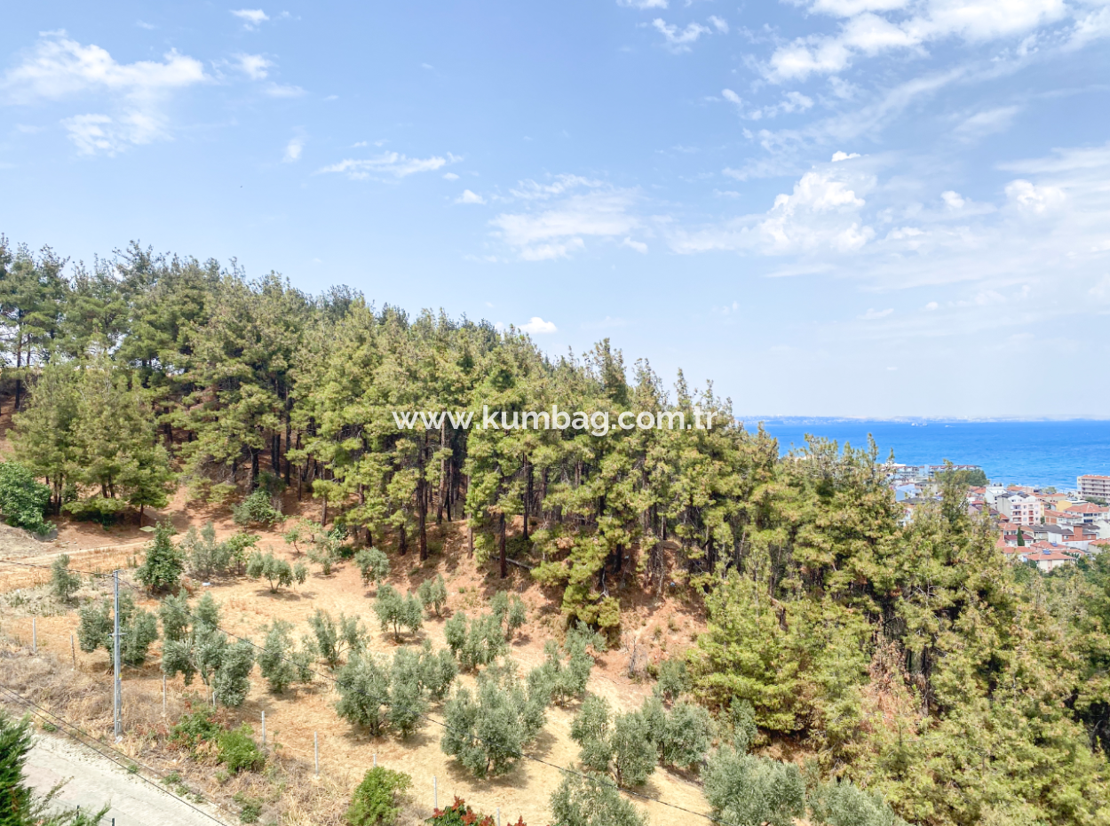 2 1 Wohnung Zum Verkauf In Kumbagh Mit Pool Mit Blick Auf Das Meer Und Den Wald