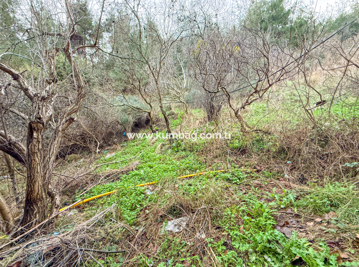 7 1 Triplex Villa Zum Verkauf Mit Grossem Garten Im Zentrum Von Kumbağ