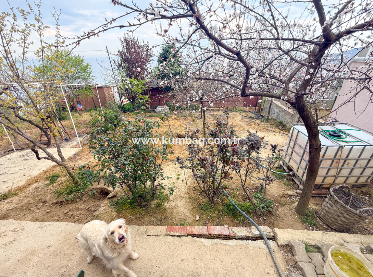 3 1 Duplex-Villa Zum Verkauf In Kumbağ Mit Panoramablick Auf Das Meer