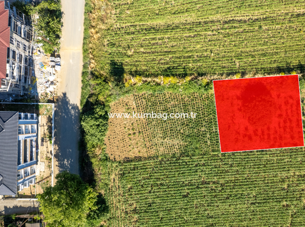 Grundstück Zum Verkauf Mit Einer Wohnzone Von 308 M² In Einer Sich Schnell Entwickelnden Region In Kumbağ