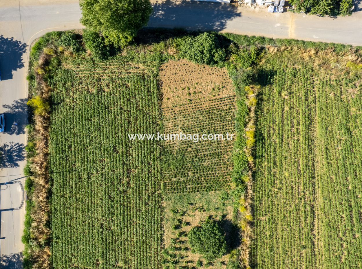 Grundstück Zum Verkauf Mit Einer Wohnzone Von 308 M² In Einer Sich Schnell Entwickelnden Region In Kumbağ