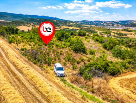 2.804 M2 Weinberg Zum Verkauf Im Dorf Naip Mit Einer Offenen Strasse, Die Für Investitionen Geeignet Ist