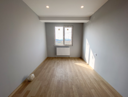 Luxus 2 1 Wohnungen Zum Verkauf In Kumbag Sea Side Komplex Mit Pool