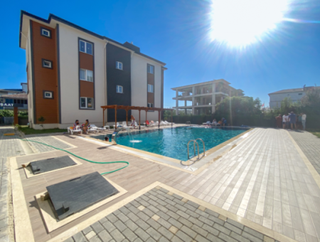 2 1 Luxuswohnung Zu Mieten Mit Separater Küche In Einem Komplex Mit Pool