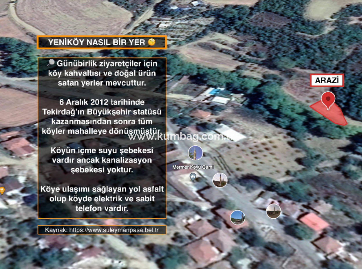 Orchard For Sale In Residential Area In Yeniköy