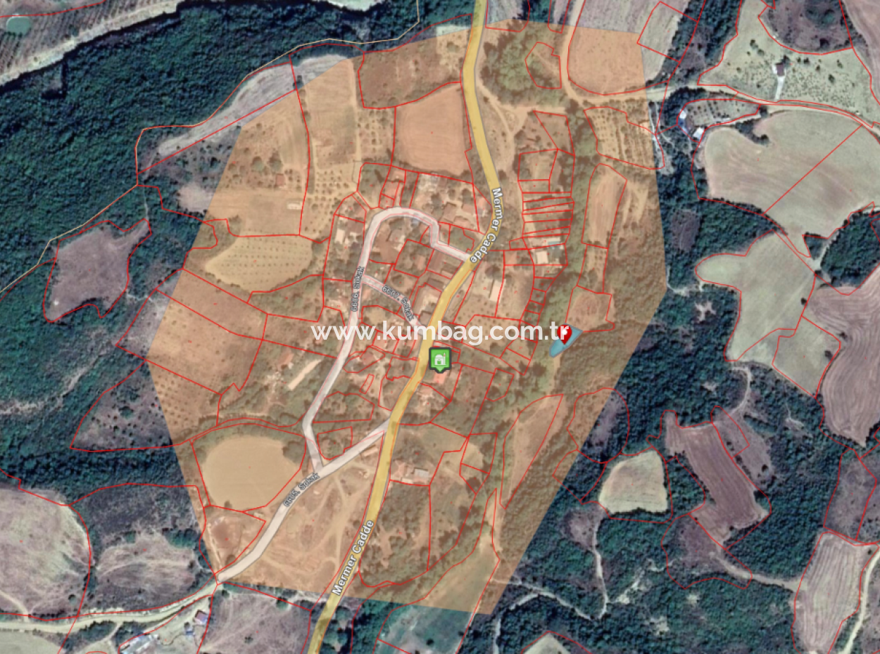 Orchard For Sale In Residential Area In Yeniköy