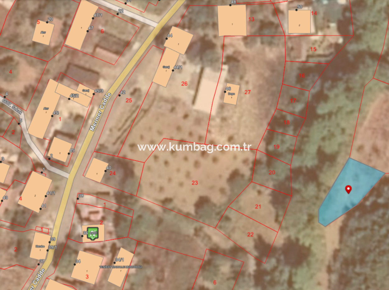 Orchard For Sale In Residential Area In Yeniköy