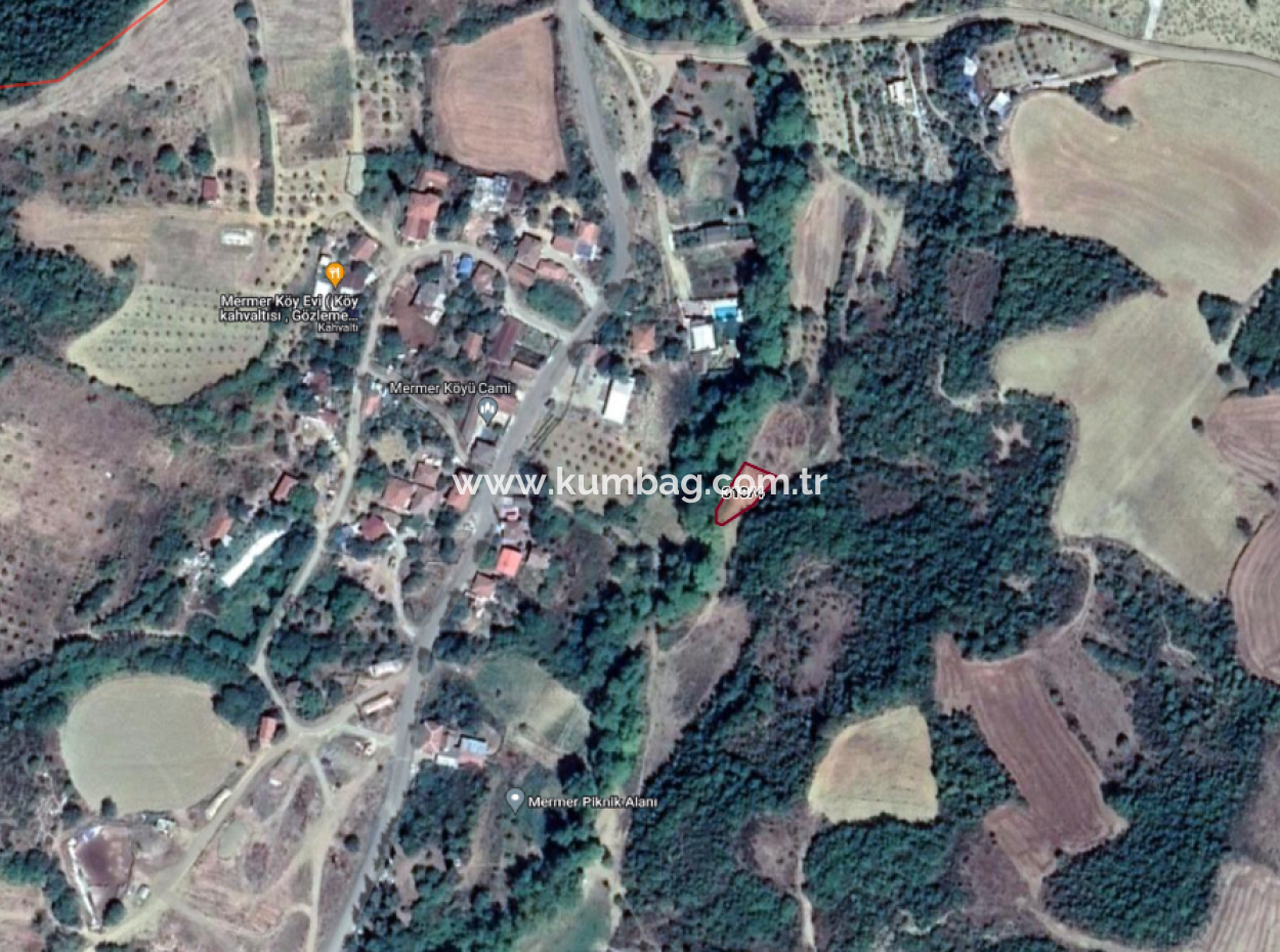 Orchard For Sale In Residential Area In Yeniköy