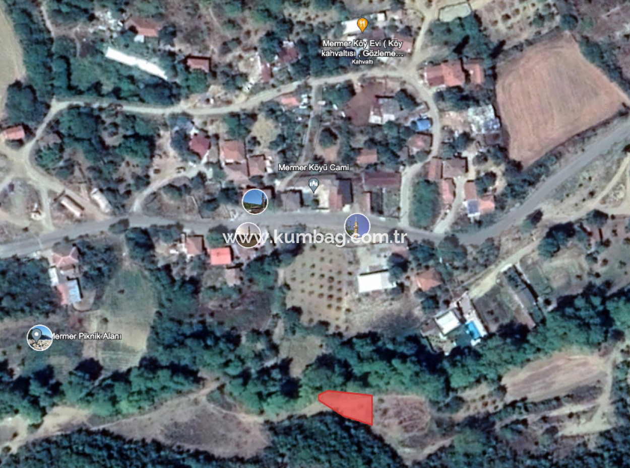 Orchard For Sale In Residential Area In Yeniköy