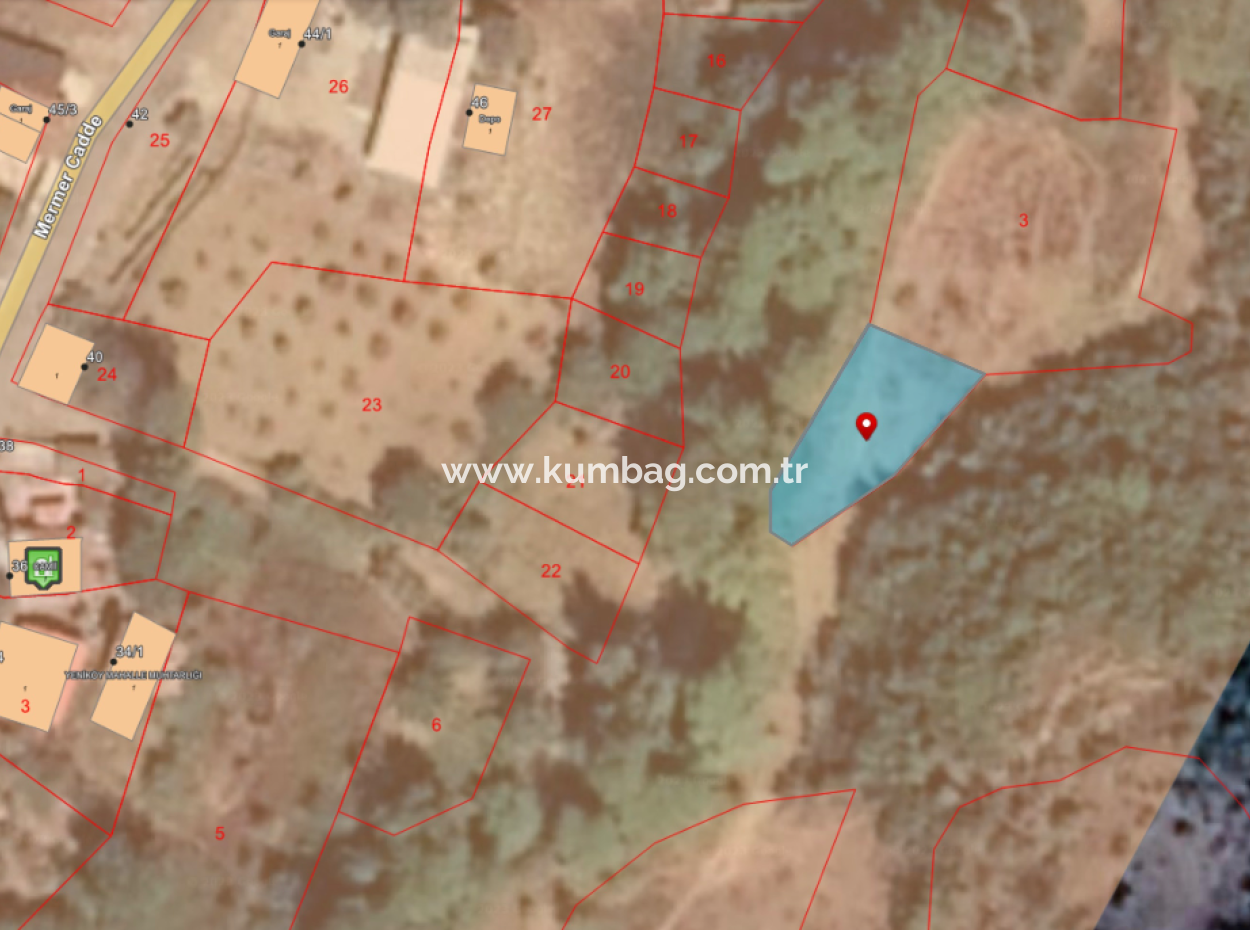 Orchard For Sale In Residential Area In Yeniköy