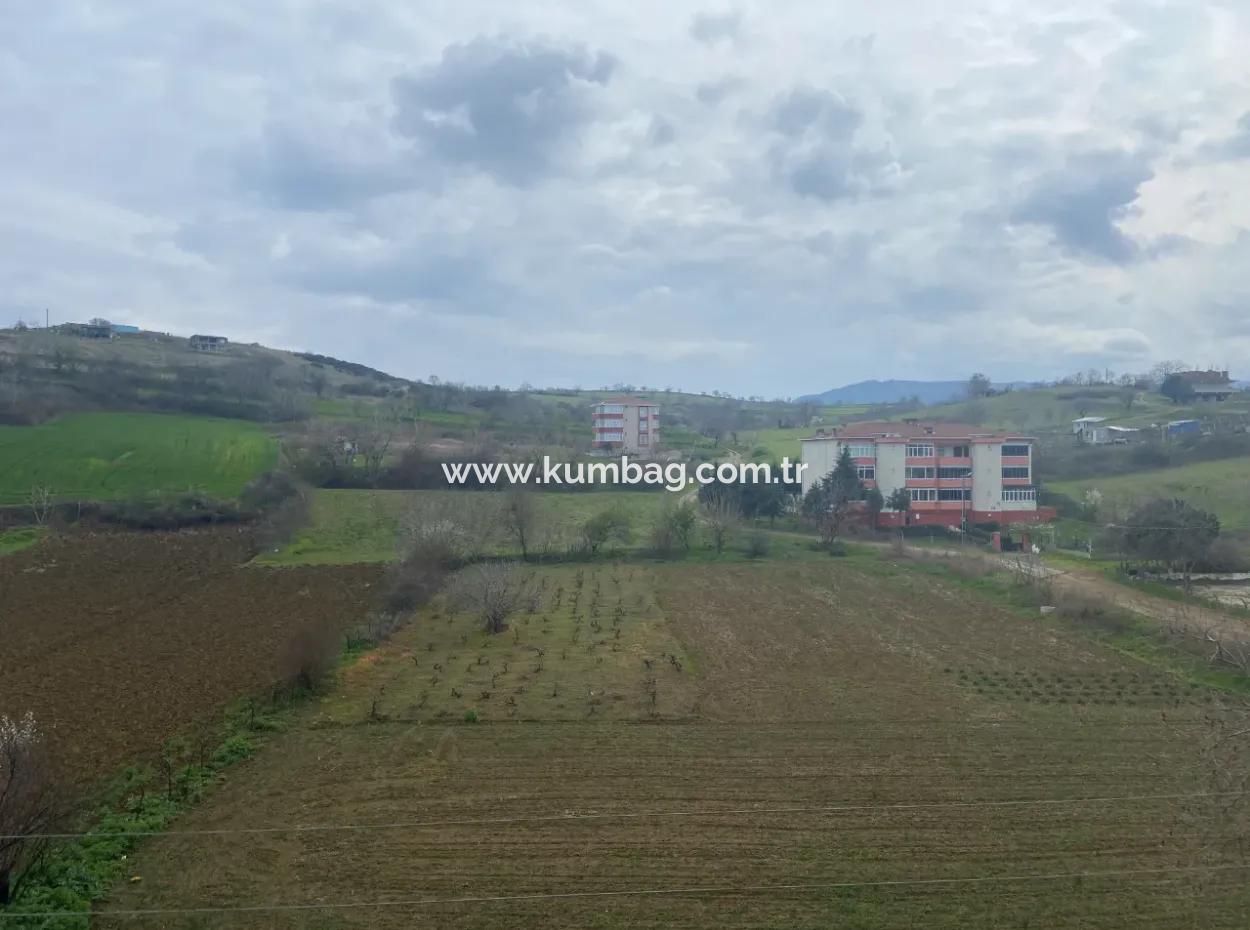 Tekirdağ Kumbağ'da Doğa Manzarali Yeni 1+1 Satilik Daire