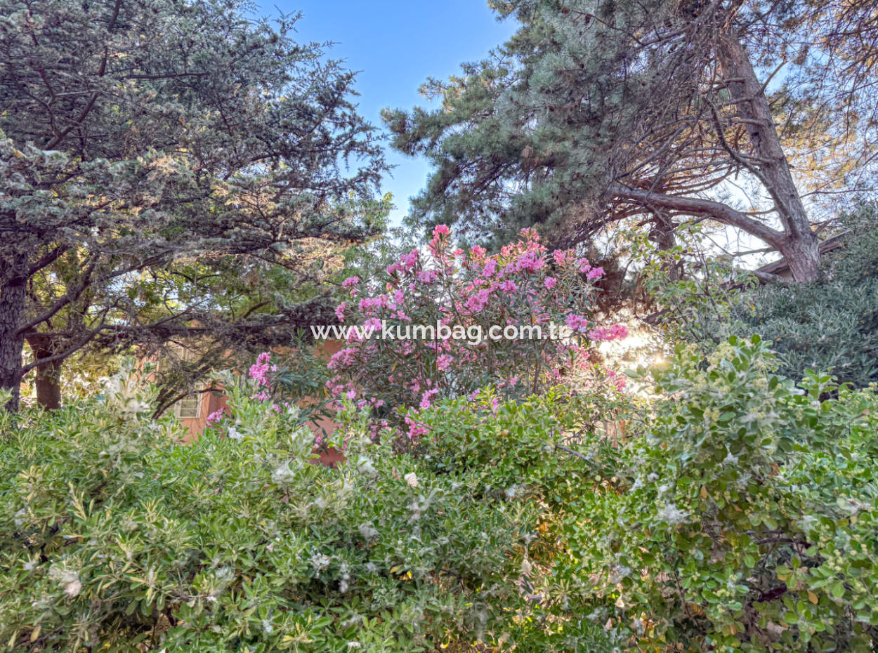  3 1 Villa With Garden For Sale In A Seafront Complex In Kumbag