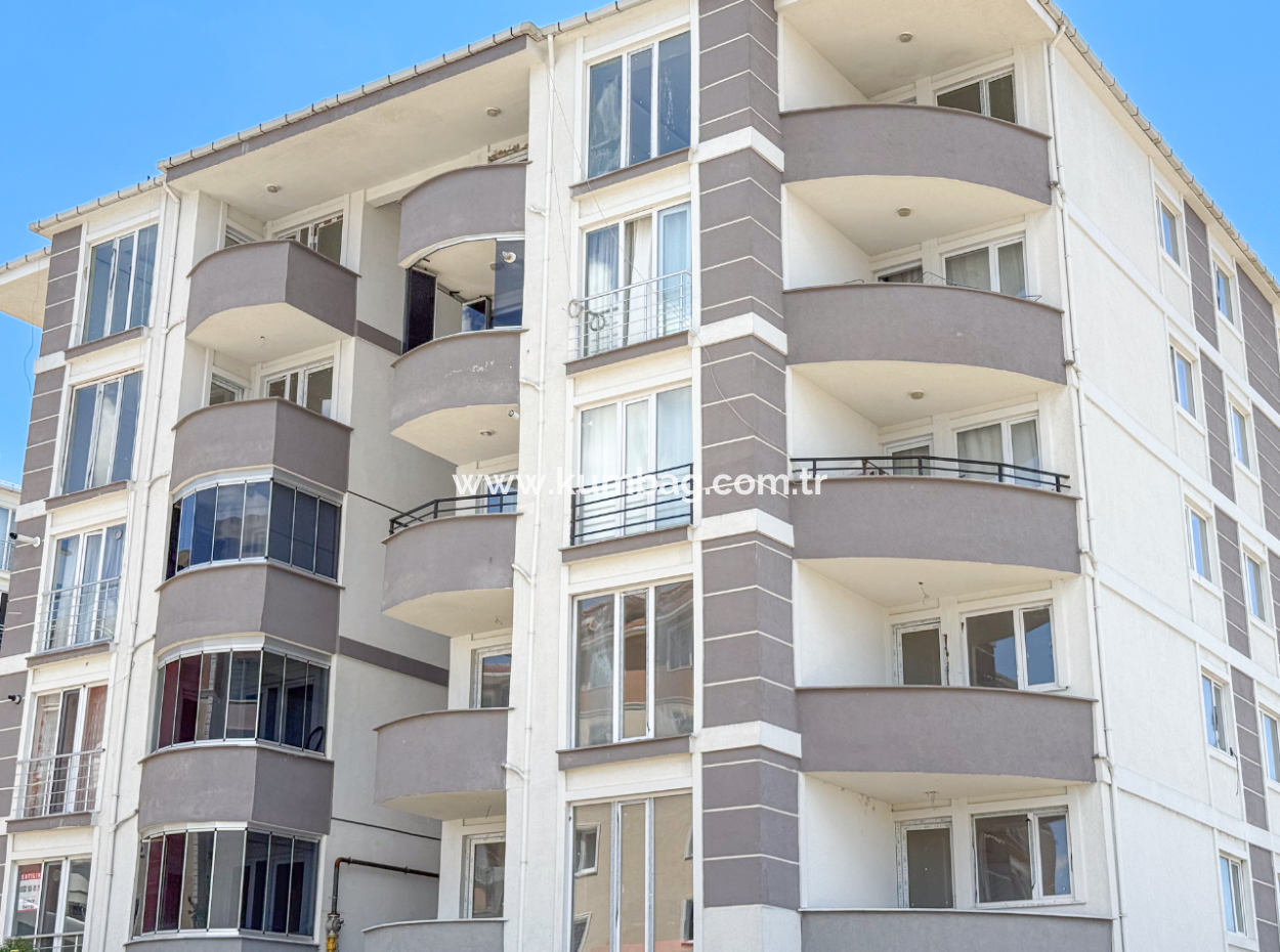 100Th Anniversary Centrally Located Spacious 1 1 Apartment