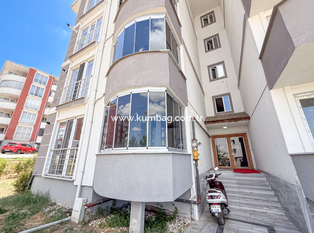100Th Anniversary Centrally Located Spacious 1 1 Apartment
