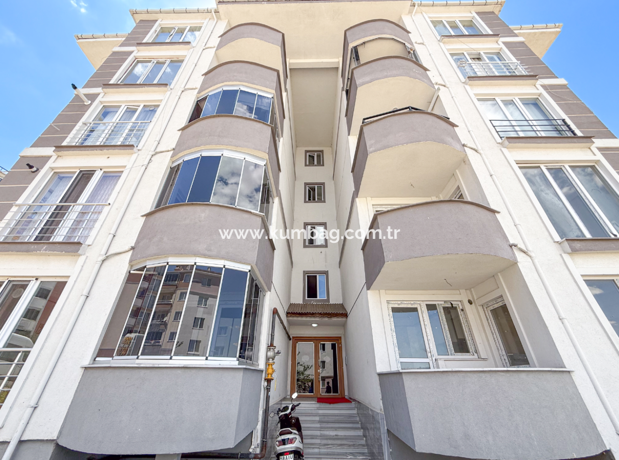 100Th Anniversary Centrally Located Spacious 1 1 Apartment