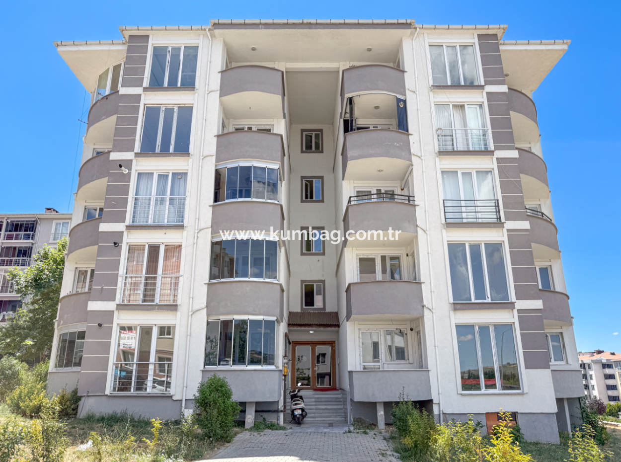 100Th Anniversary Centrally Located Spacious 1 1 Apartment