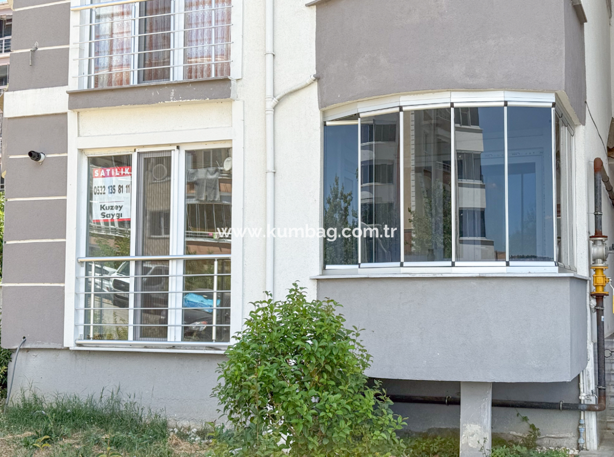 100Th Anniversary Centrally Located Spacious 1 1 Apartment