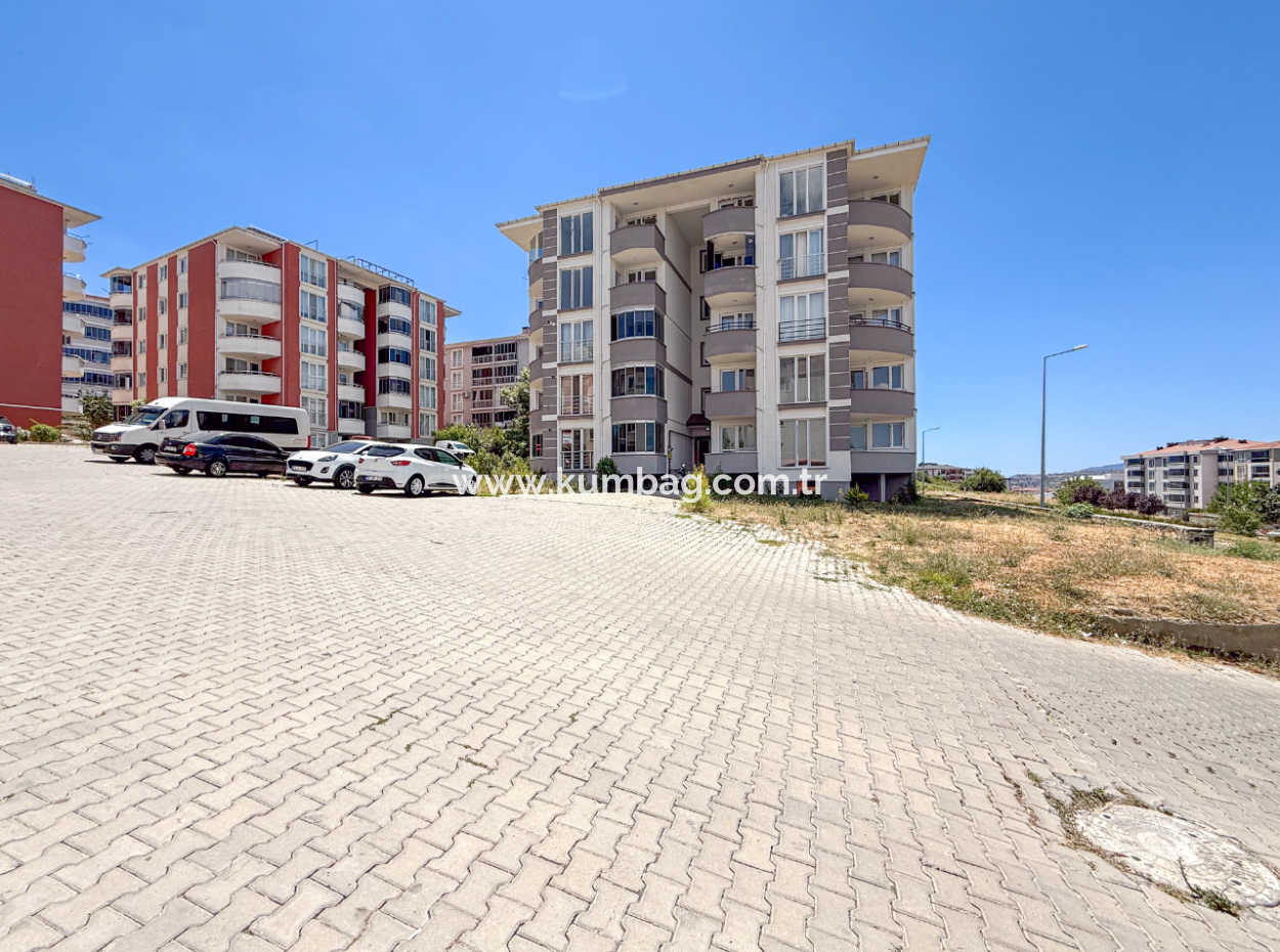 100Th Anniversary Centrally Located Spacious 1 1 Apartment