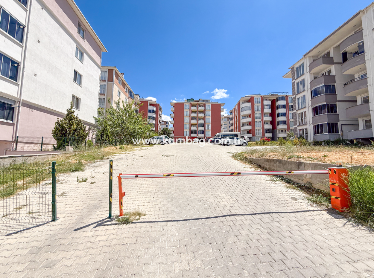 100Th Anniversary Centrally Located Spacious 1 1 Apartment