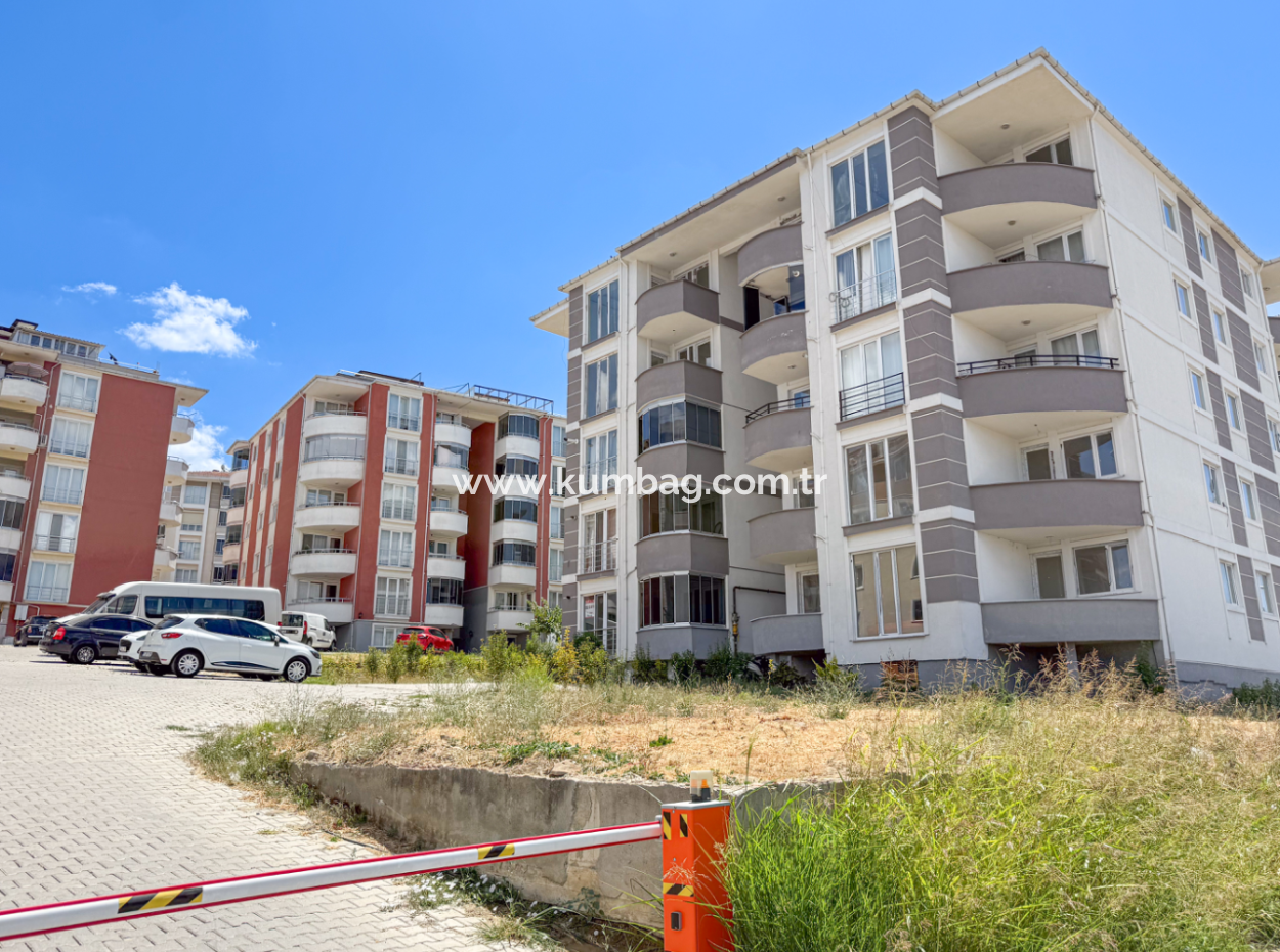 100Th Anniversary Centrally Located Spacious 1 1 Apartment