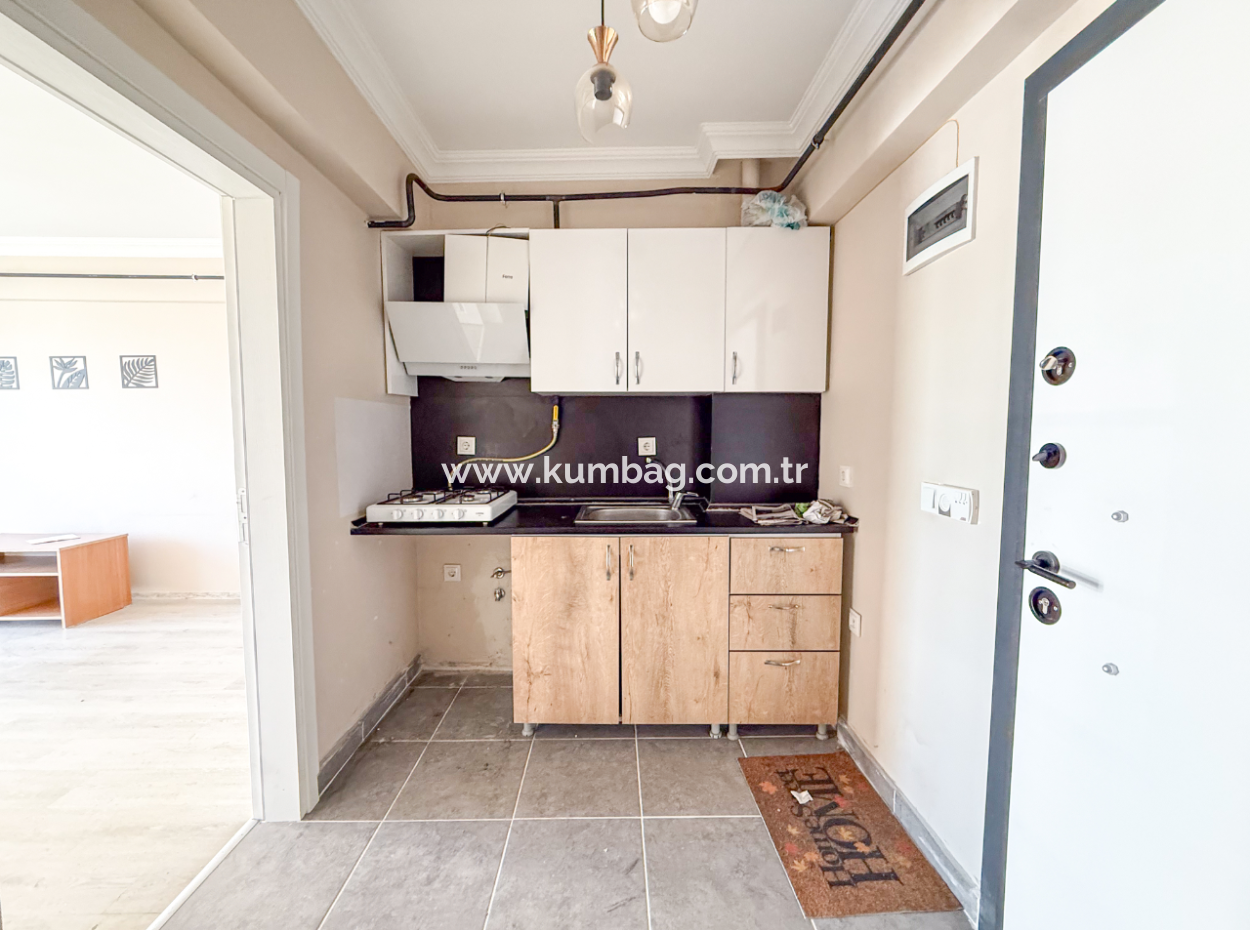 100Th Anniversary Centrally Located Spacious 1 1 Apartment