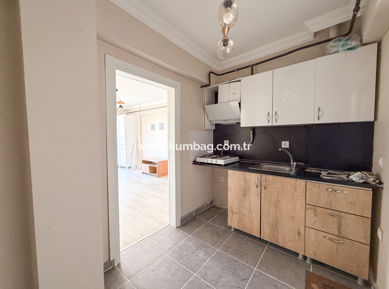 100Th Anniversary Centrally Located Spacious 1 1 Apartment