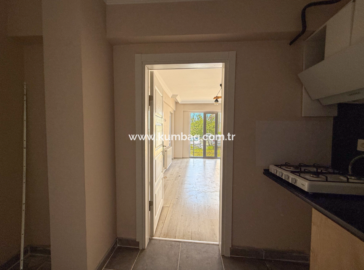 100Th Anniversary Centrally Located Spacious 1 1 Apartment