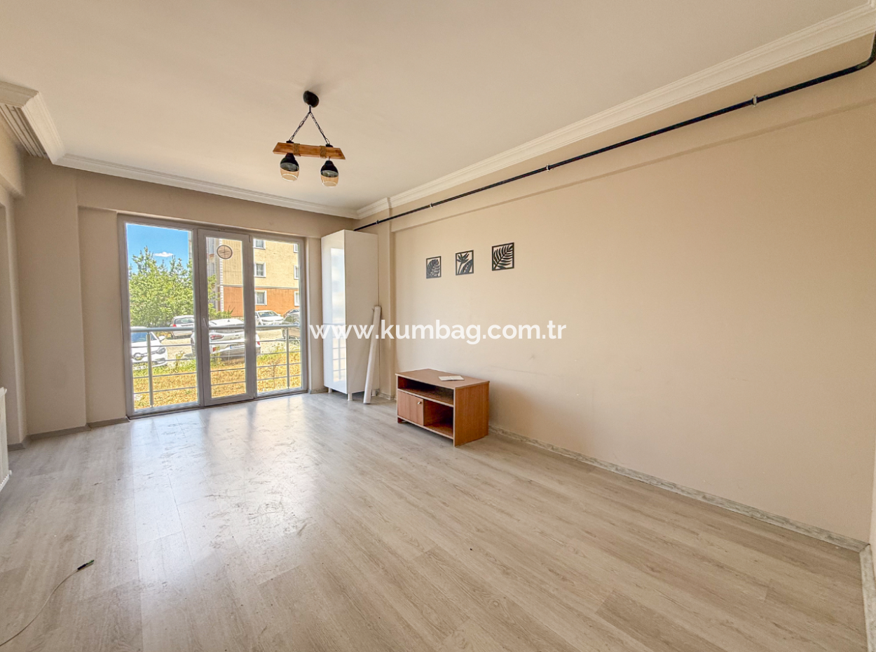 100Th Anniversary Centrally Located Spacious 1 1 Apartment