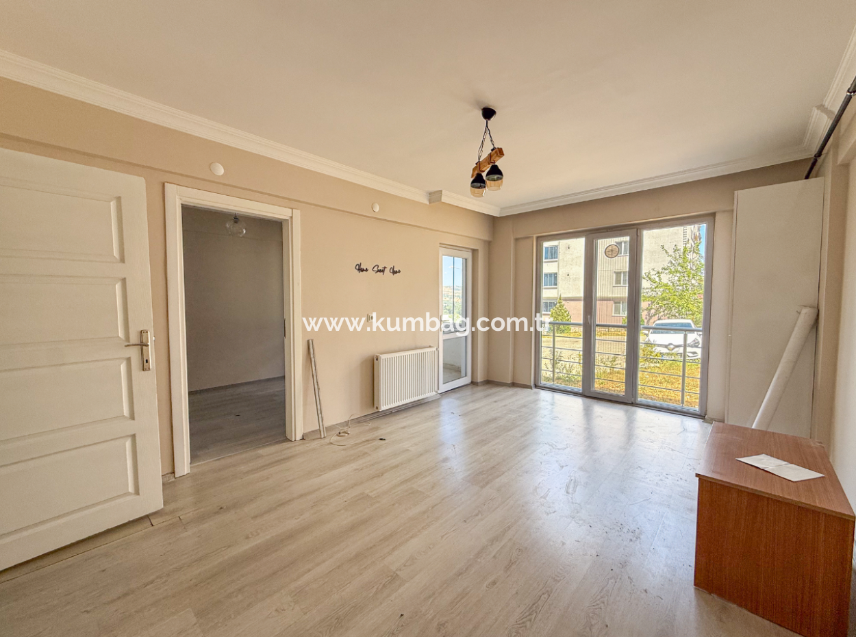 100Th Anniversary Centrally Located Spacious 1 1 Apartment