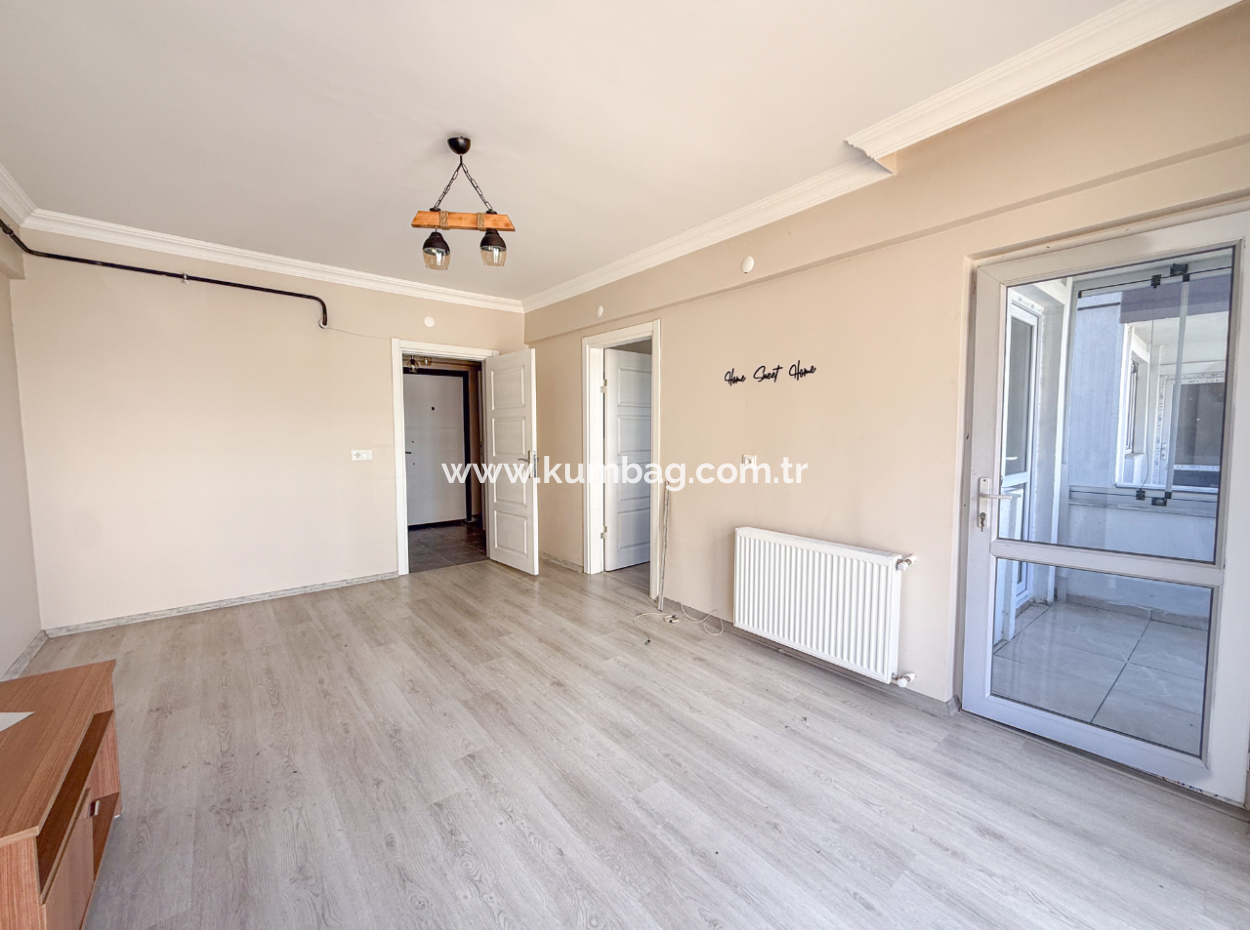 100Th Anniversary Centrally Located Spacious 1 1 Apartment