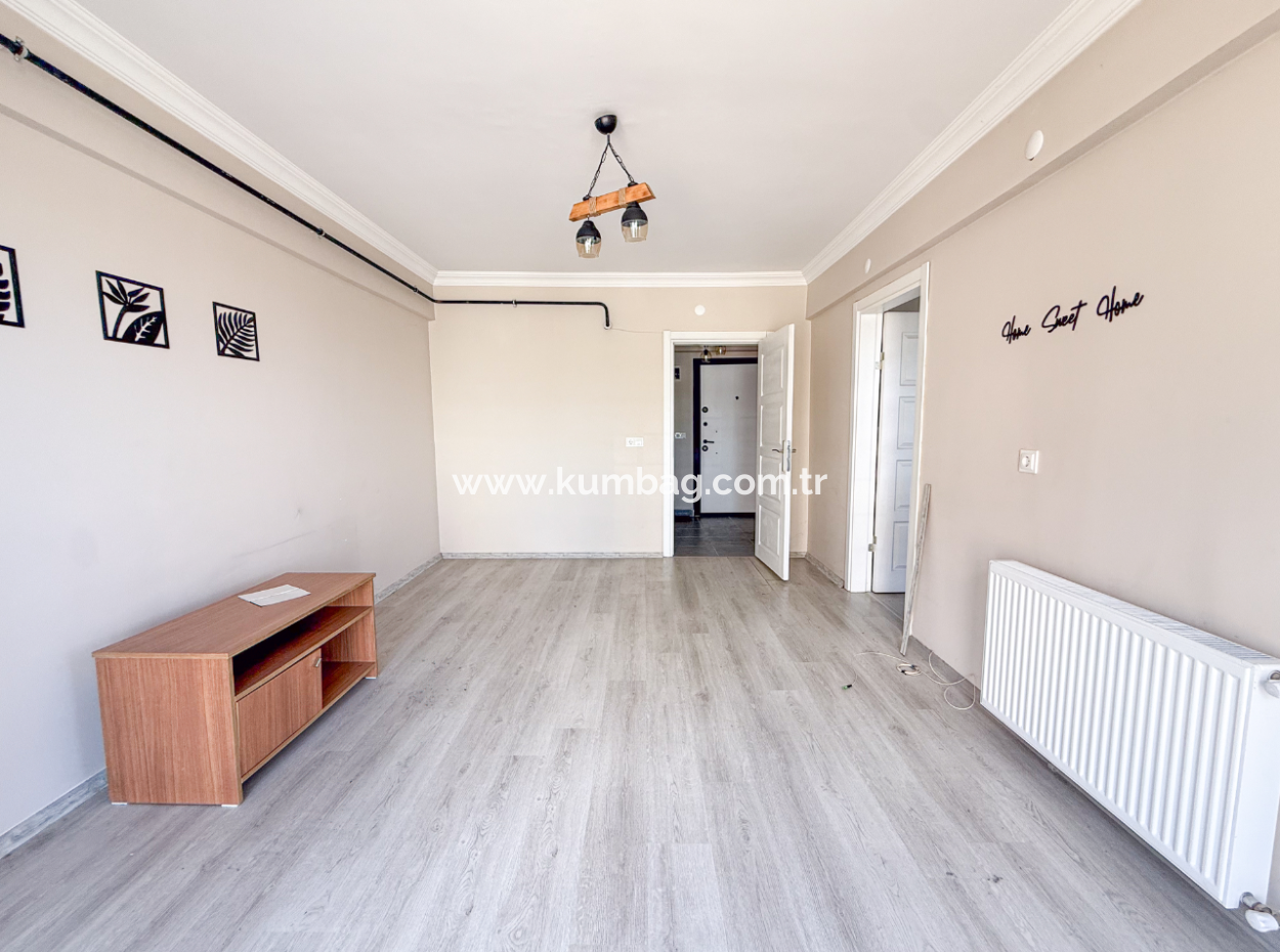 100Th Anniversary Centrally Located Spacious 1 1 Apartment