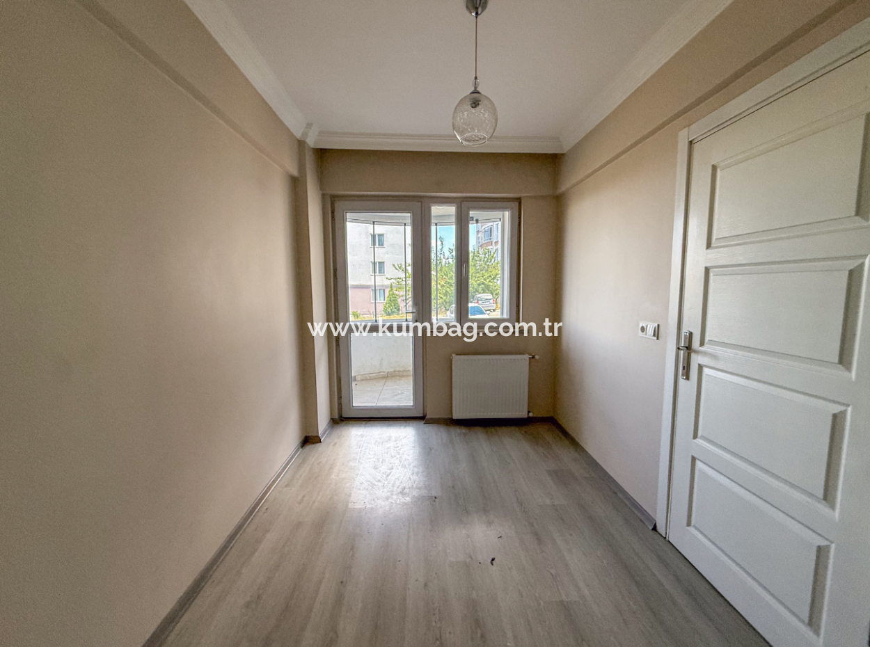 100Th Anniversary Centrally Located Spacious 1 1 Apartment