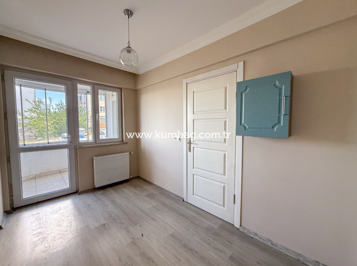 100Th Anniversary Centrally Located Spacious 1 1 Apartment