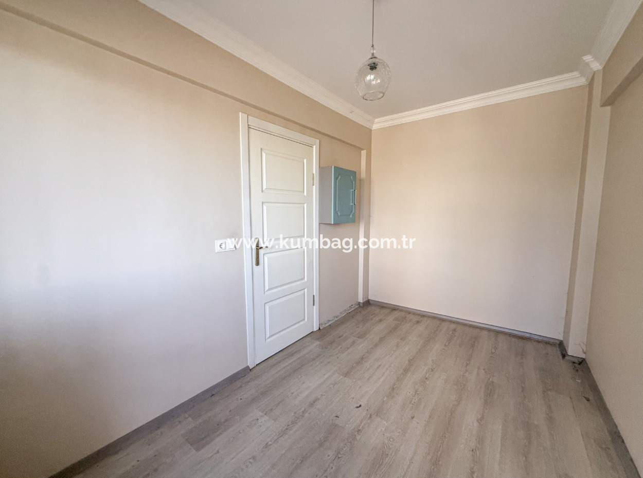 100Th Anniversary Centrally Located Spacious 1 1 Apartment