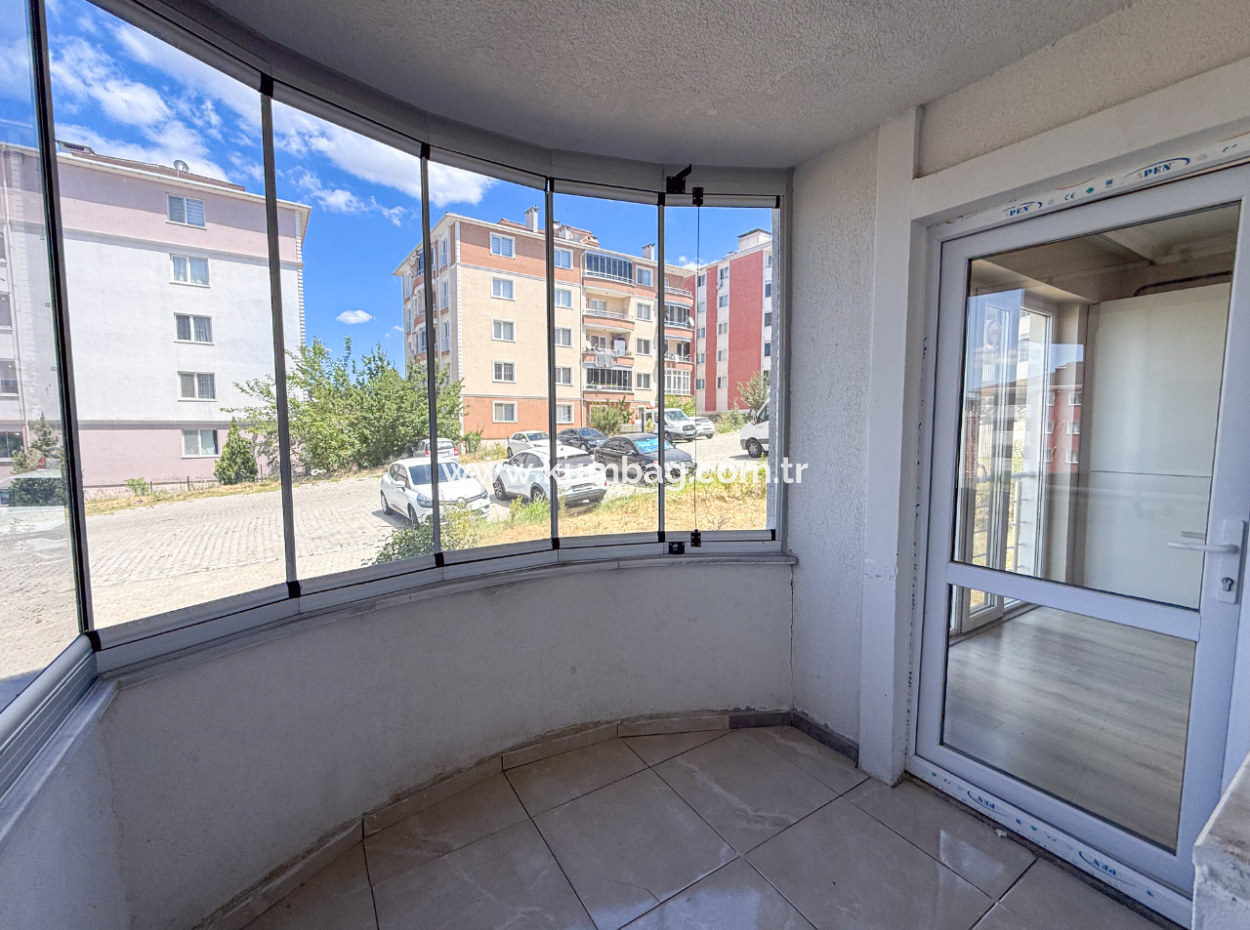 100Th Anniversary Centrally Located Spacious 1 1 Apartment