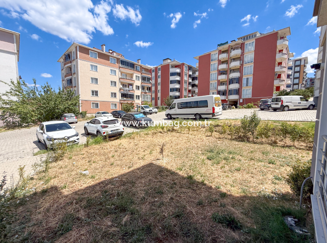 100Th Anniversary Centrally Located Spacious 1 1 Apartment