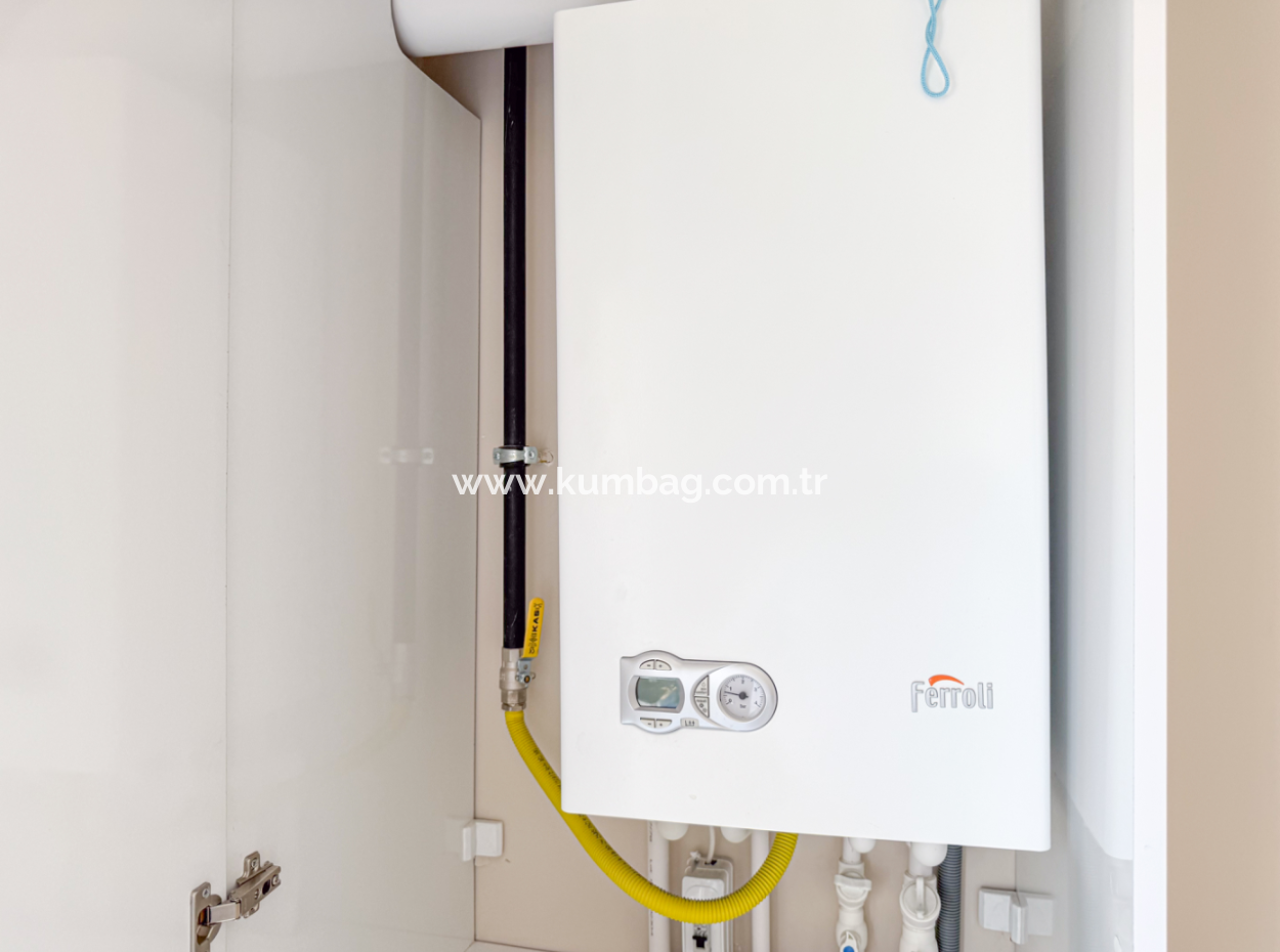 100Th Anniversary Centrally Located Spacious 1 1 Apartment