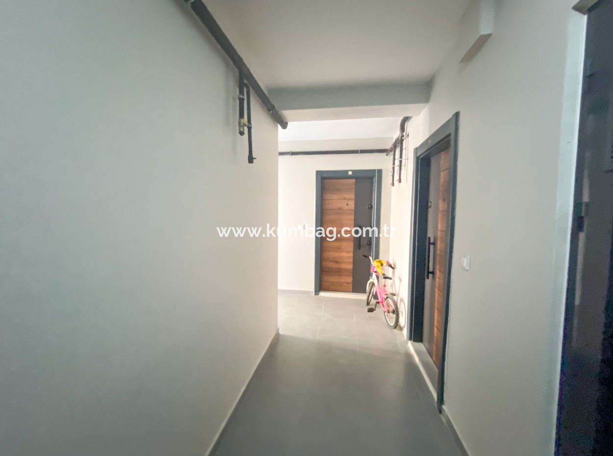 Luxury 1 1 Apartments For Sale Near The Sea In A Complex With Kumbag Pool