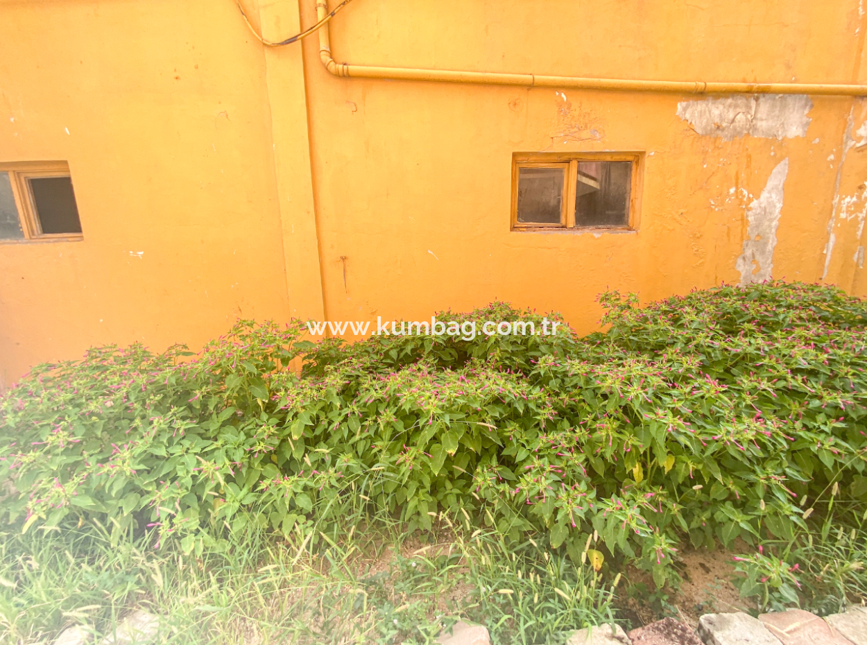 Spacious 2 1 Furnished Apartment For Sale With Garden In Central Location In Kumbag