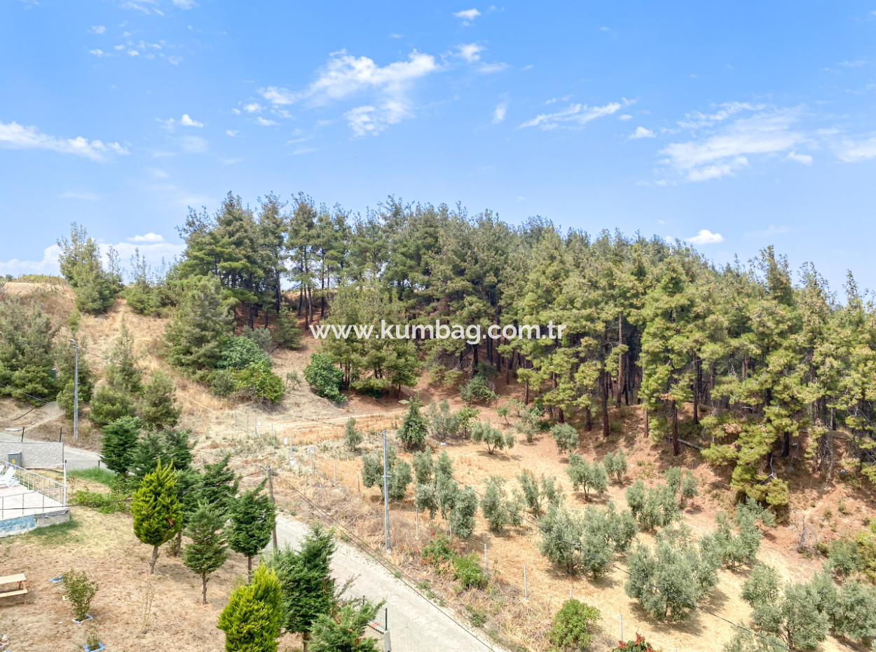 2 1 Apartment For Sale In Kumbagh With Pool Overlooking Sea And Forest