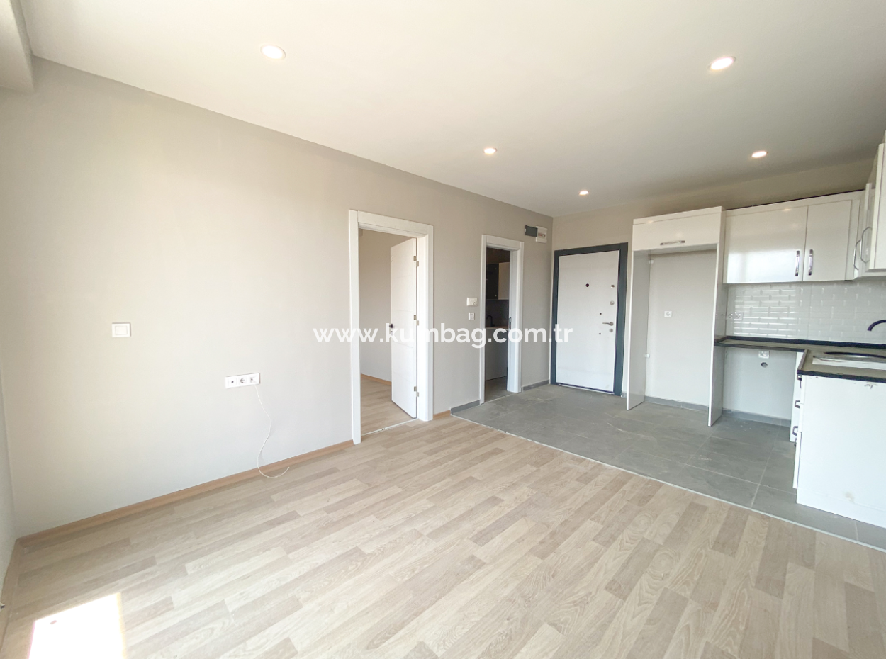 Luxury 1 1 Apartments For Sale Near The Sea In A Complex With Kumbag Pool