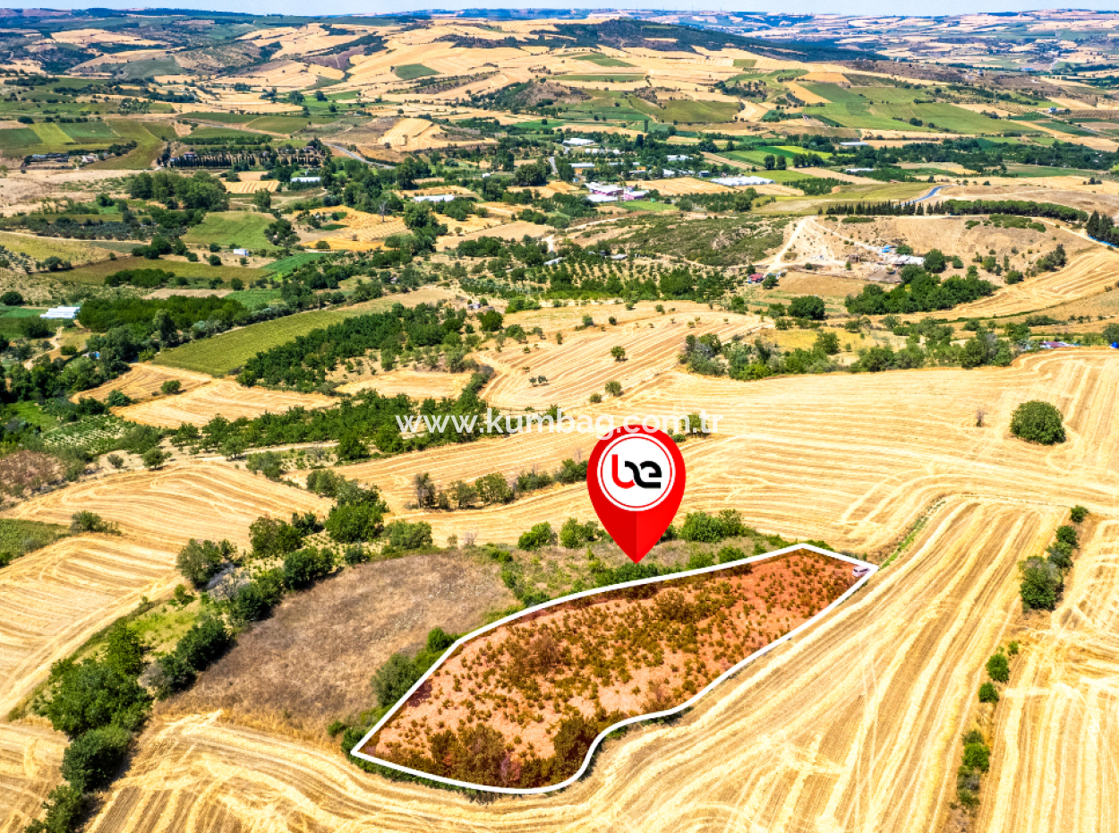 Price Dropped Opportunity 2.804 M2 Vineyard For Sale In Naip