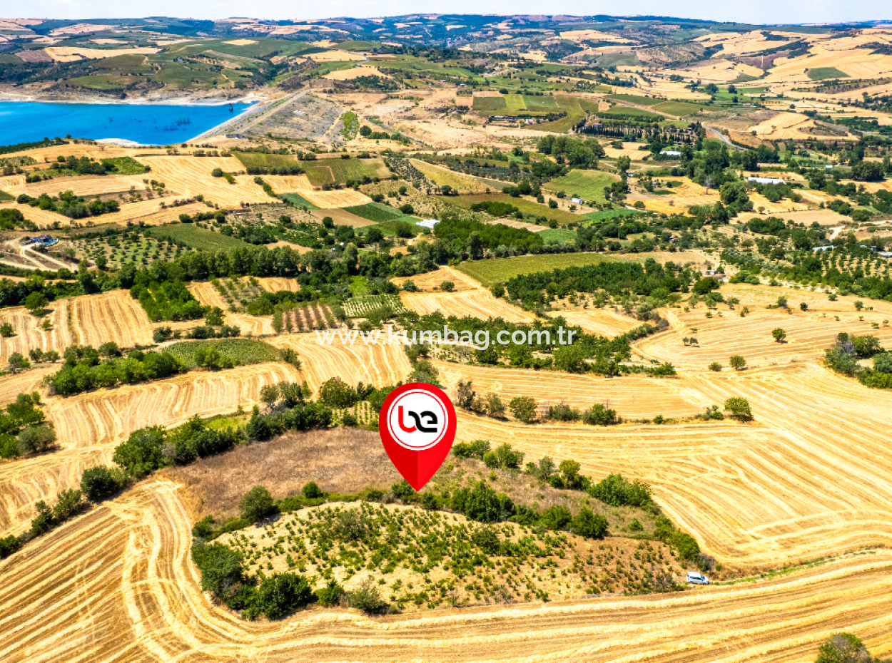 Price Dropped Opportunity 2.804 M2 Vineyard For Sale In Naip