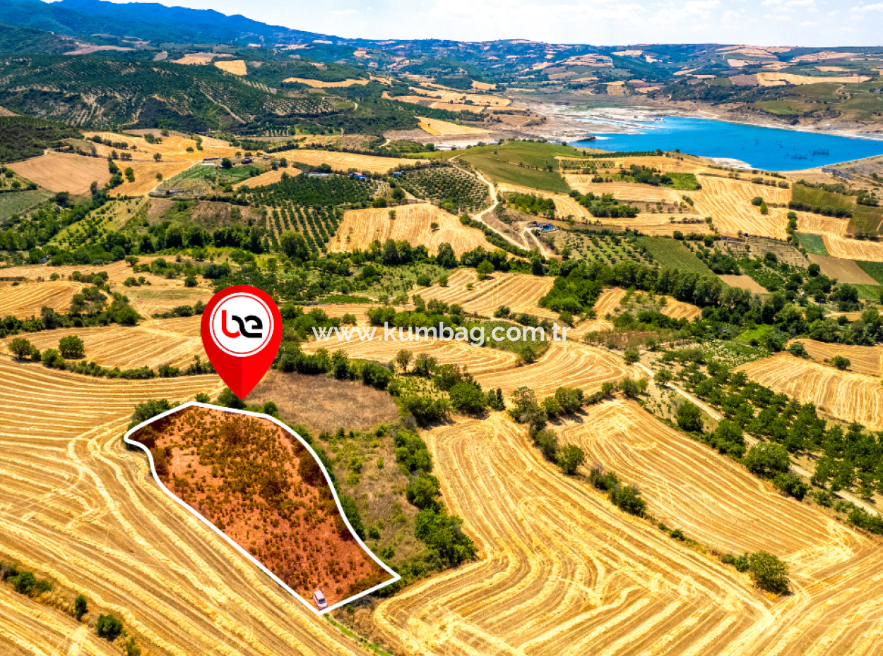 Price Dropped Opportunity 2.804 M2 Vineyard For Sale In Naip