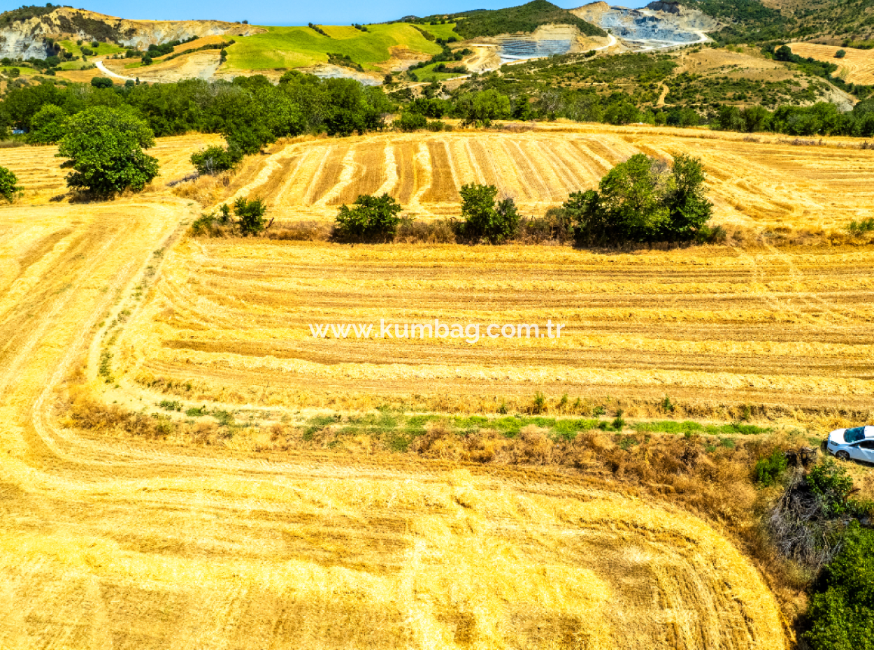 Price Dropped Opportunity 2.804 M2 Vineyard For Sale In Naip