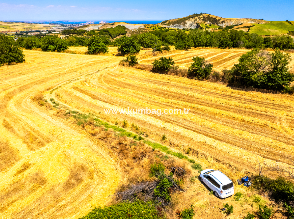 Price Dropped Opportunity 2.804 M2 Vineyard For Sale In Naip